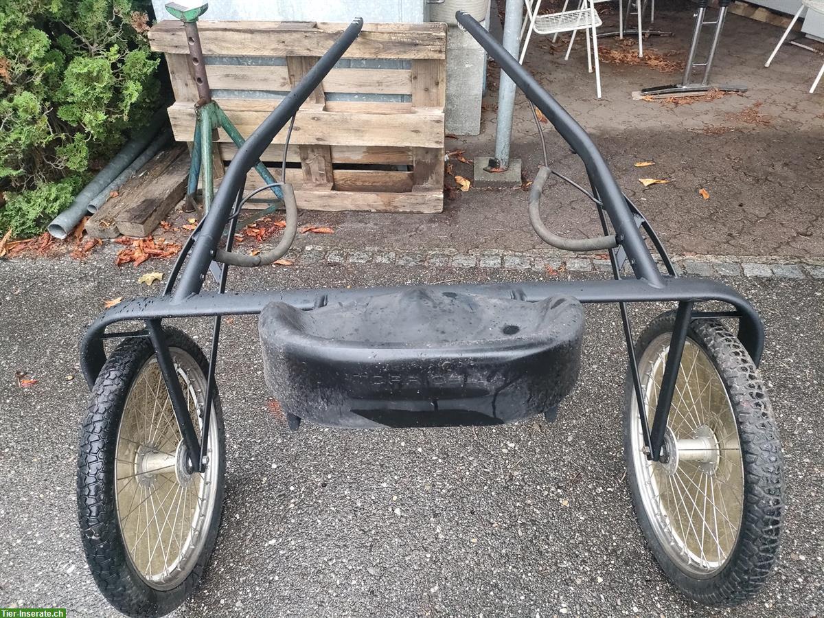 Bild 4: Pony Sulky mit Geschirr zu verkaufen