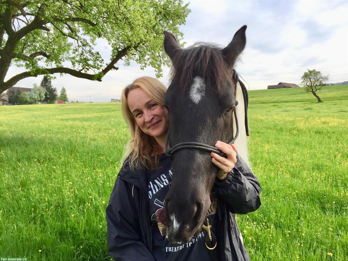 Bild 8: Biete Ausreit- und Spazierbeteiligung in Mettmenstetten