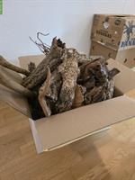 Terrarien Deko-Hölzer zu verkaufen
