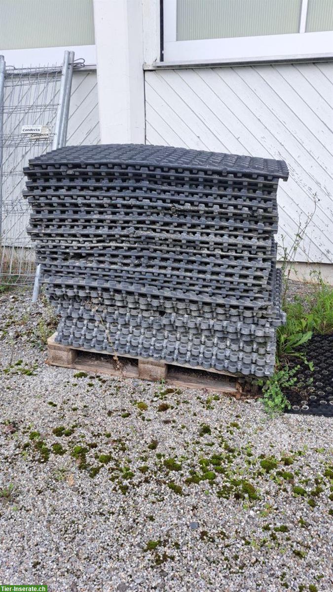 Gebrauchte Eccoraster günstig abzugeben