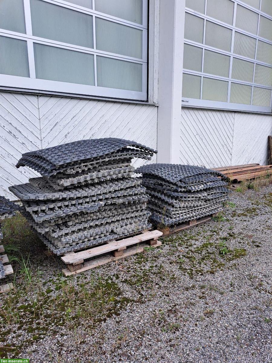 Bild 2: Gebrauchte Eccoraster günstig abzugeben
