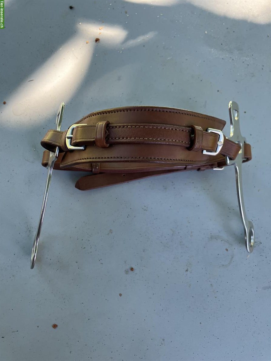 Sprenger Hackamore zu verkaufen