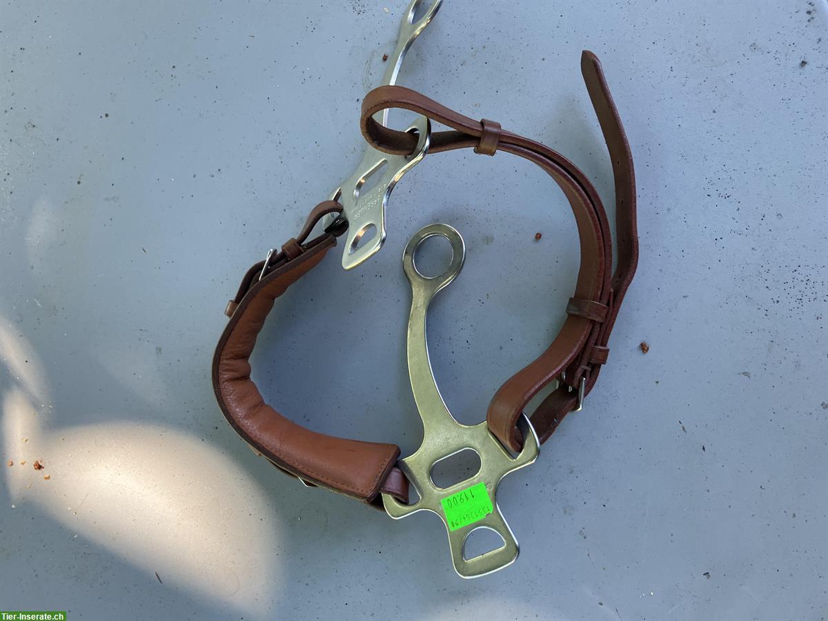 Bild 4: Sprenger Hackamore zu verkaufen