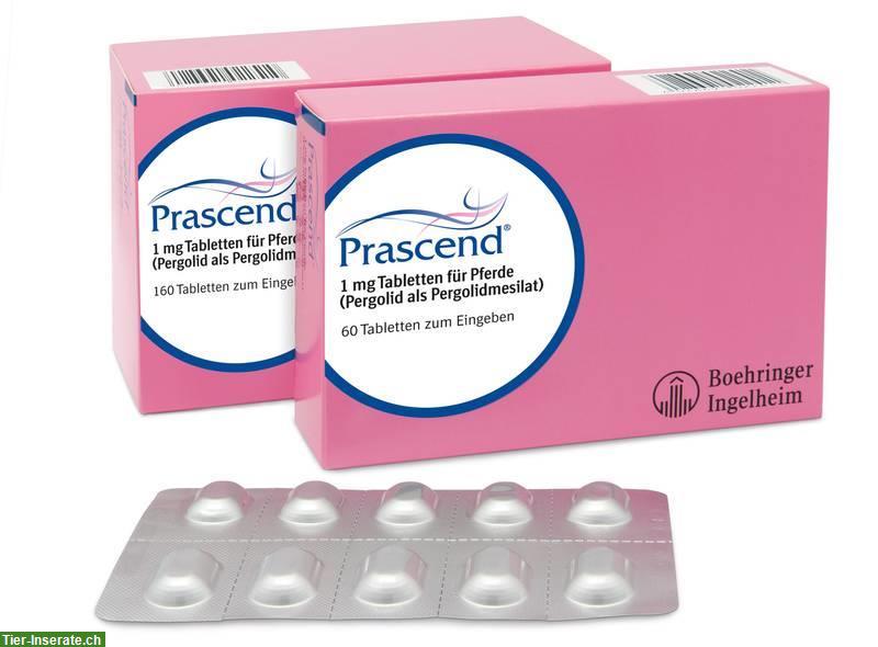 Prascend für Cushing-Pferde