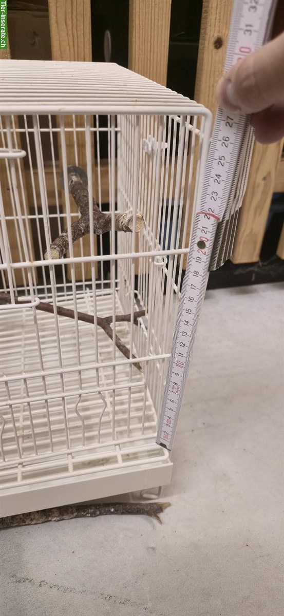 Bild 2: Vogelkäfig zu verkaufen