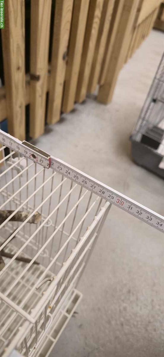 Bild 4: Vogelkäfig zu verkaufen