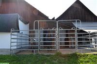 2 Freilauf-Pferdeboxen in Aesch bei Birmensdorf