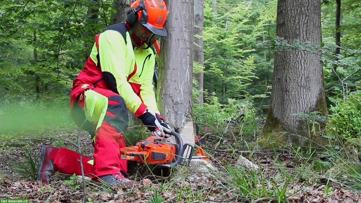 Bild 2: Biete Gartenarbeit in der Umgebung 4563 Gerlafingen