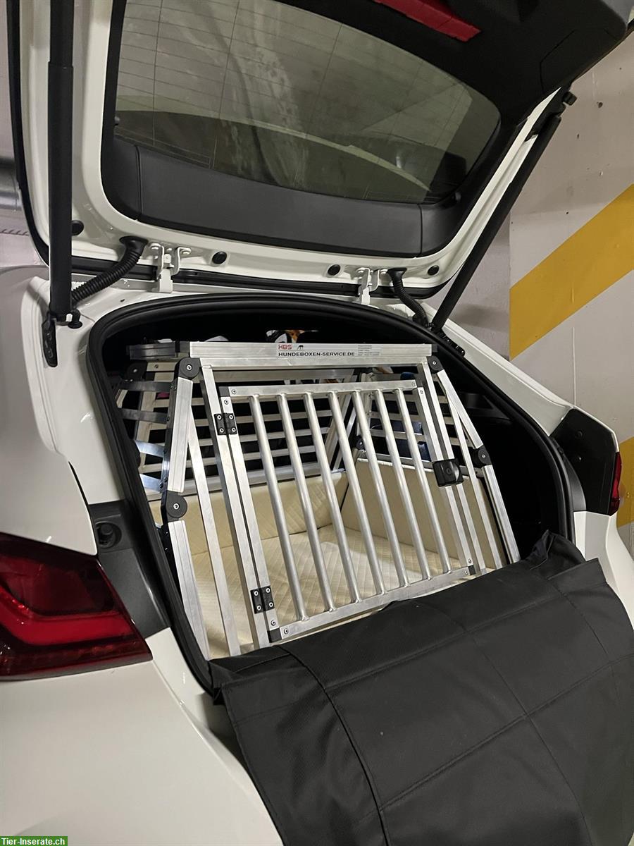 Verkaufe Hundebox für BMW 120 oder Polestar 2