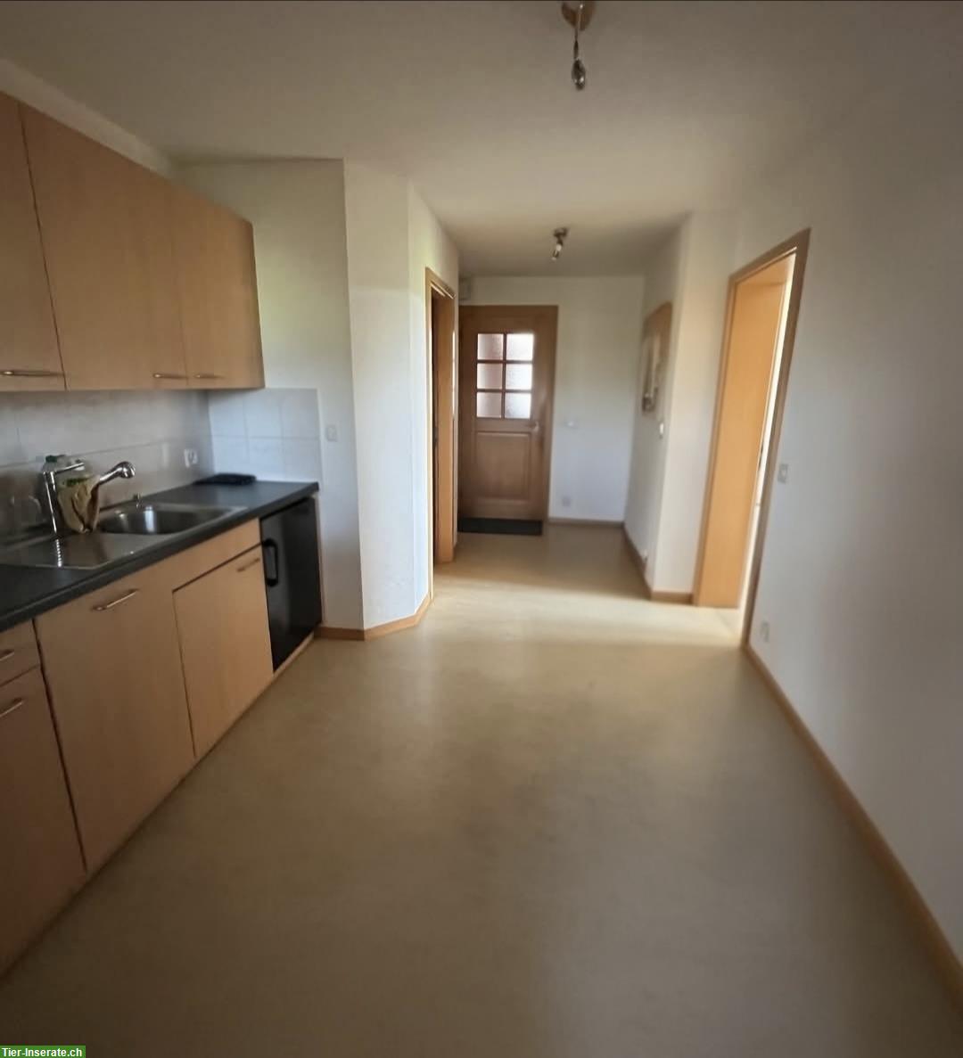 3 Zimmer Wohnung mit Zugang zu Pferdestall