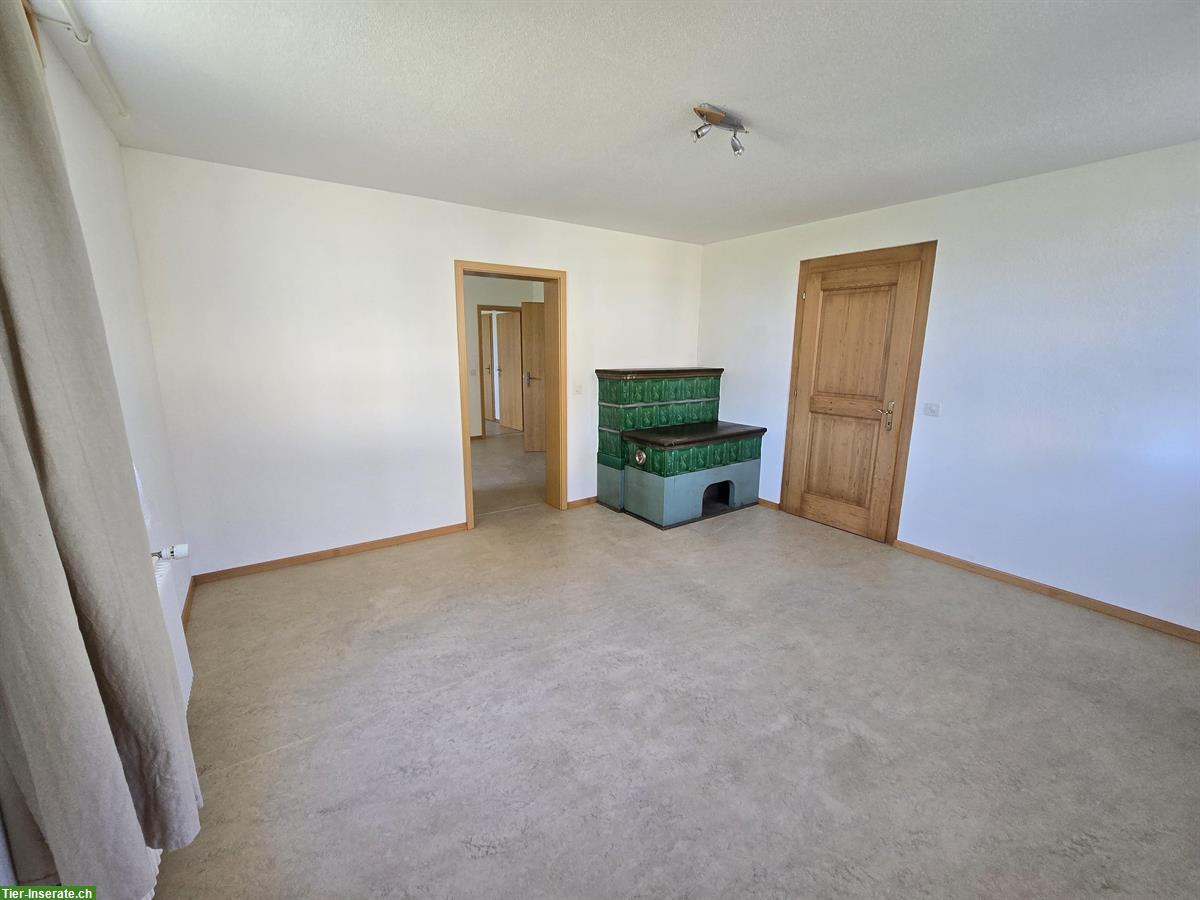 Bild 2: 3 Zimmer Wohnung mit Zugang zu Pferdestall