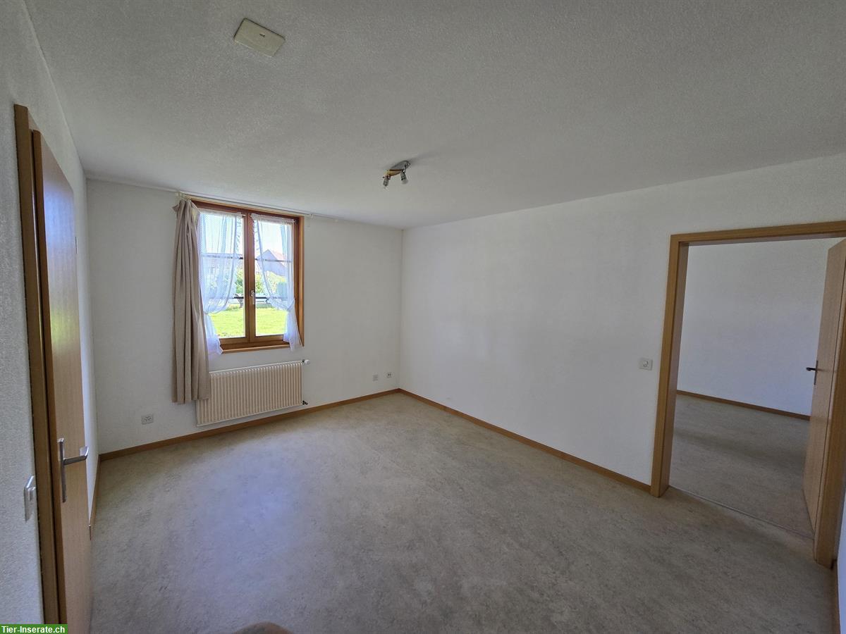 Bild 3: 3 Zimmer Wohnung mit Zugang zu Pferdestall
