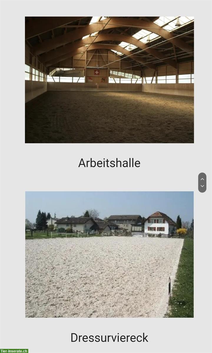 Bild 5: 3 Zimmer Wohnung mit Zugang zu Pferdestall