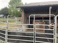 Selbstversorger Offenstall in Bellach