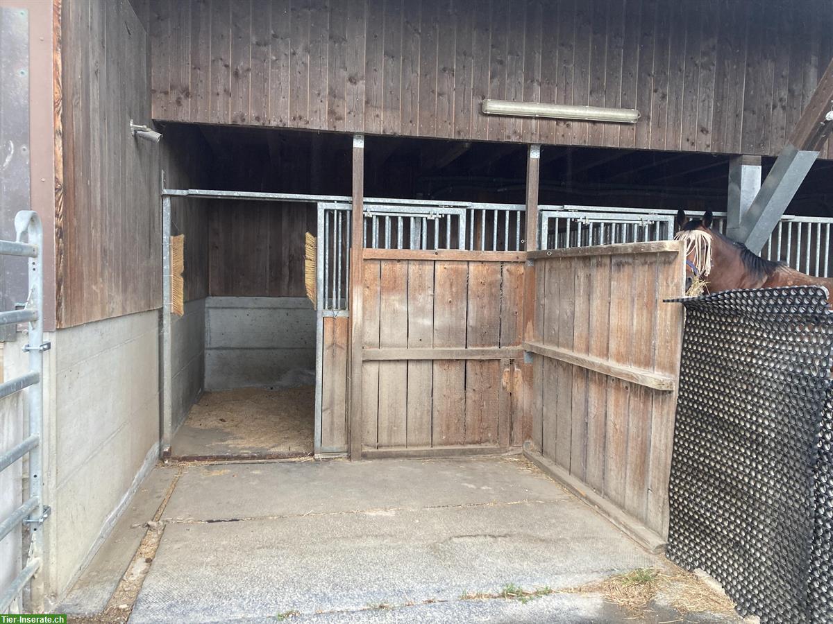 Bild 2: Selbstversorger Offenstall in Bellach