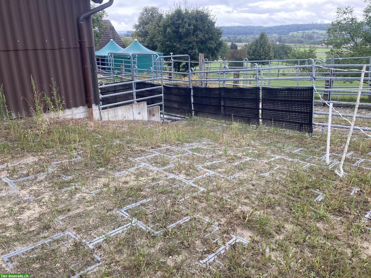 Bild 4: Selbstversorger Offenstall in Bellach