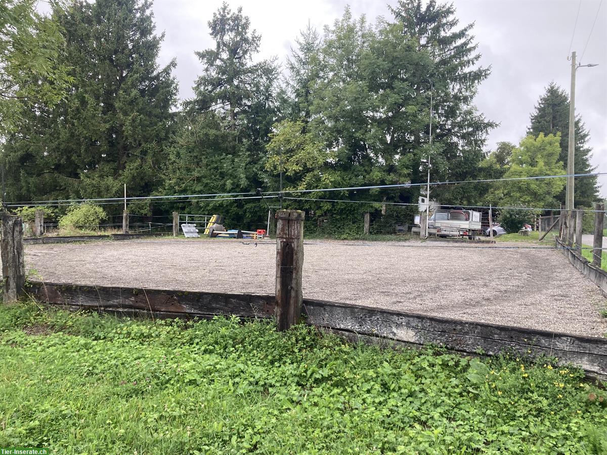 Bild 6: Selbstversorger Offenstall in Bellach