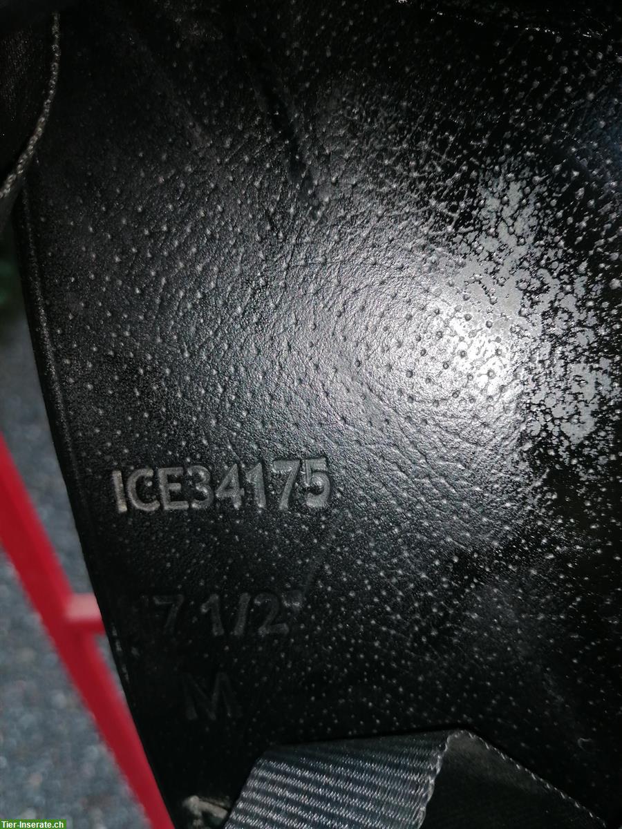 Bild 6: Hrimnir Pro Softseat Sattel zu verkaufen