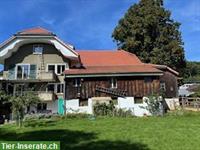 Bauerhaus mit Freilaufstall zu tauschen gegen Mehrfamilienhaus