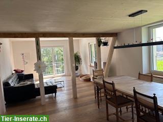 Bild 2: Bauerhaus mit Freilaufstall zu tauschen gegen Mehrfamilienhaus