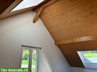 Bild 3: Bauerhaus mit Freilaufstall zu tauschen gegen Mehrfamilienhaus
