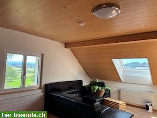 Bild 4: Bauerhaus mit Freilaufstall zu tauschen gegen Mehrfamilienhaus