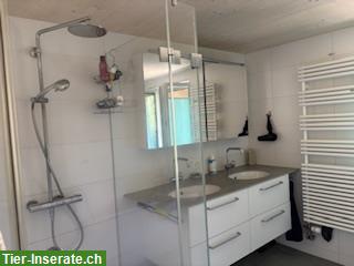 Bild 5: Bauerhaus mit Freilaufstall zu tauschen gegen Mehrfamilienhaus