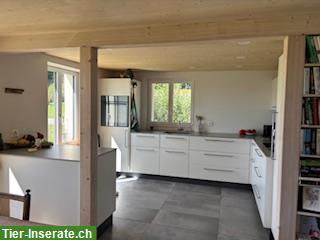Bild 6: Bauerhaus mit Freilaufstall zu tauschen gegen Mehrfamilienhaus
