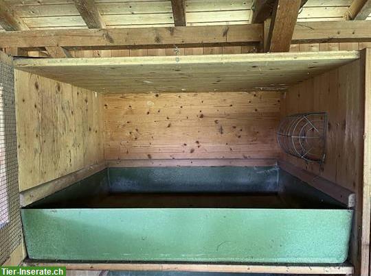 Bild 2: Kaninchen Zuchtställe für Grossrassen zu verkaufen