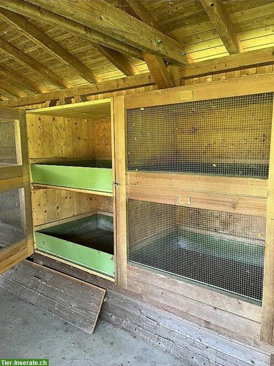 Bild 3: Kaninchen Zuchtställe für Grossrassen zu verkaufen
