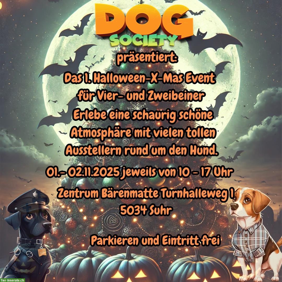 Bild 2: HOHOHO-BOO! – Das 1. Halloween-X-Mas Event für Hund & Mensch