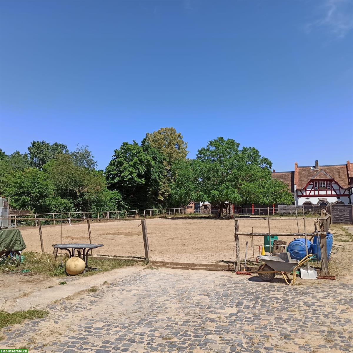 Bild 6: Offenstallplatz in Weiterstadt DE, Rehe und Asthma optimiert