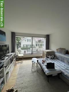 2 Zimmer Wohnung im Weissenbühl, Stadt Bern, zu vermieten