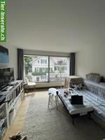 2 Zimmer Wohnung im Weissenbühl, Stadt Bern, zu vermieten