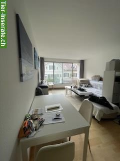 Bild 2: 2 Zimmer Wohnung im Weissenbühl, Stadt Bern, zu vermieten