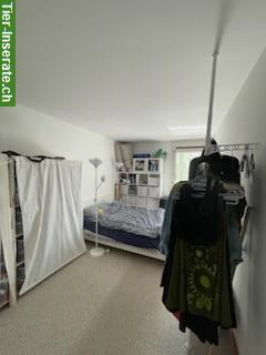 Bild 3: 2 Zimmer Wohnung im Weissenbühl, Stadt Bern, zu vermieten