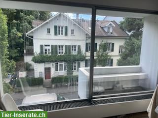 Bild 5: 2 Zimmer Wohnung im Weissenbühl, Stadt Bern, zu vermieten