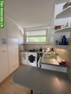 Bild 6: 2 Zimmer Wohnung im Weissenbühl, Stadt Bern, zu vermieten