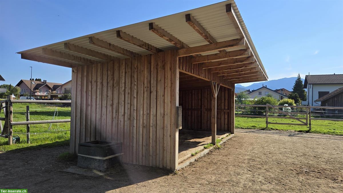 Bild 3: Weidehütte für Pferde zu verkaufen