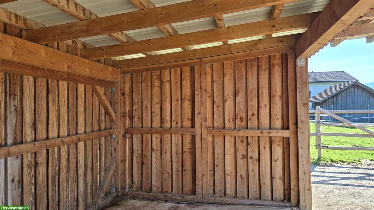 Bild 4: Weidehütte für Pferde zu verkaufen
