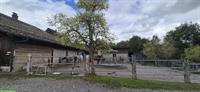 Offenstall mit Weide und Reitplatz in Egg bei Zürich