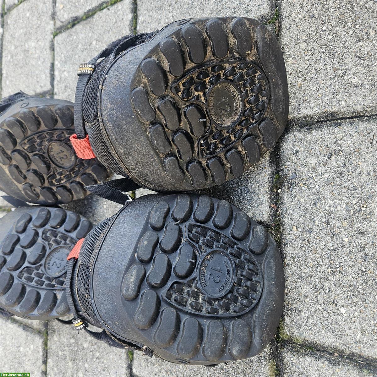Bild 3: 2-Paar Hufschuhe, Gr. 12, Equine Fusion