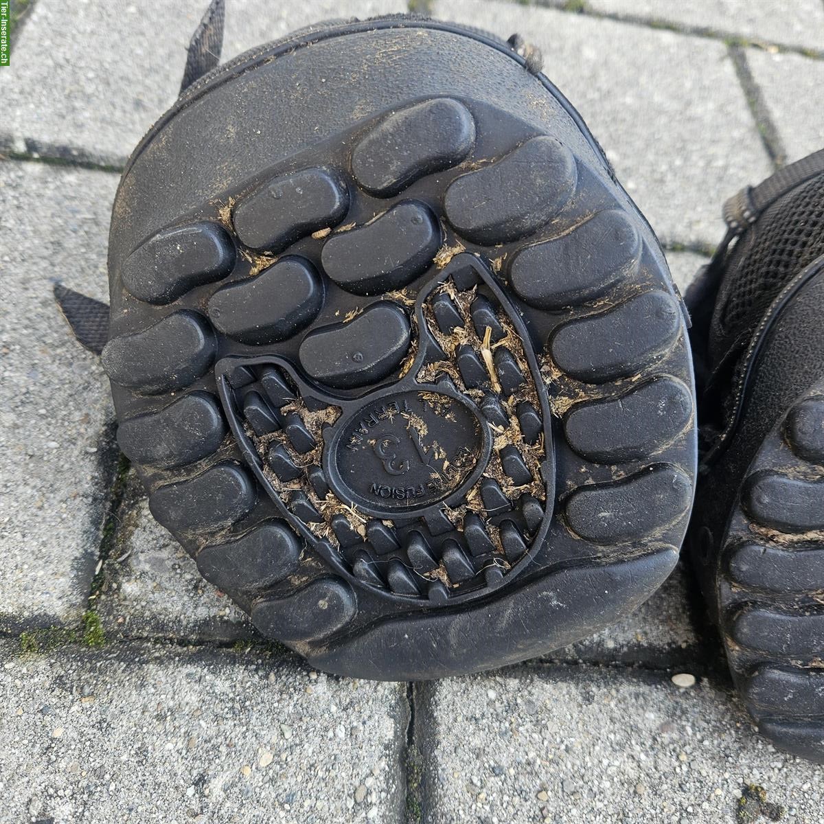 Bild 3: 1-Paar Hufschuhe, Gr. 13, Equine Fusion