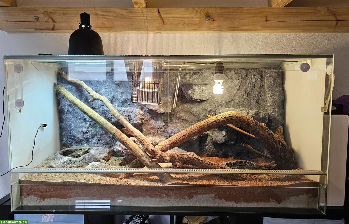 Terrarium 120x50x50cm mit diversem Zubehör
