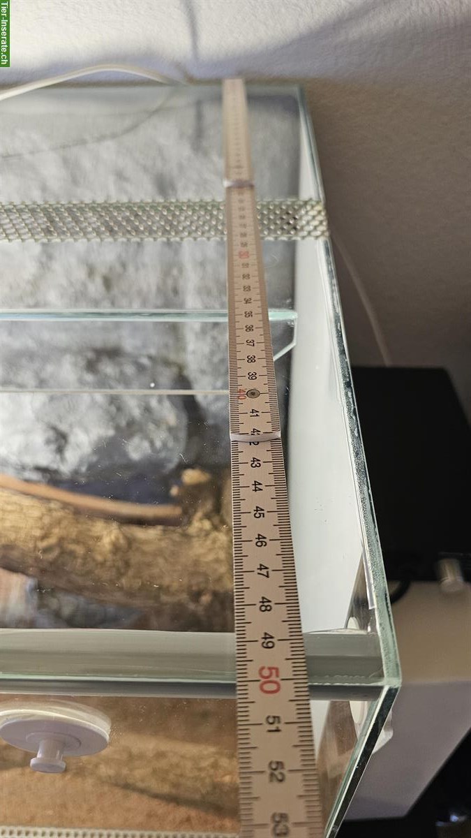 Bild 5: Terrarium 120x50x50cm mit diversem Zubehör