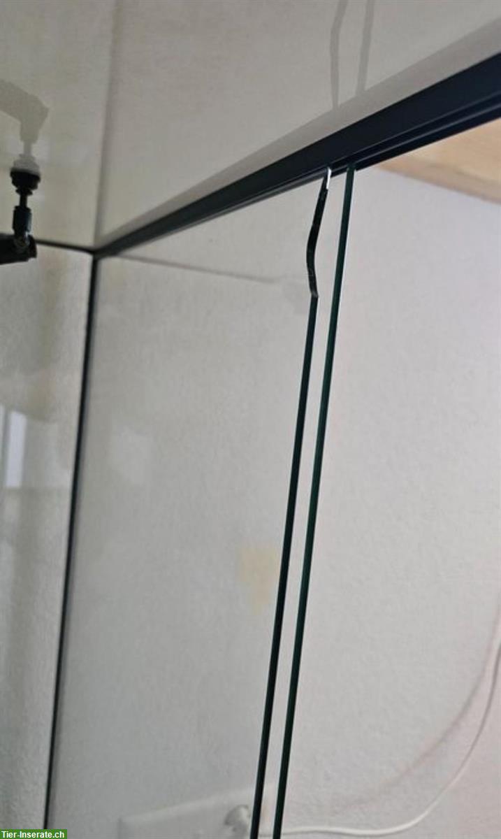 Bild 4: Glasterrarium 100x80x60cm ohne Inhalt & Unterschrank