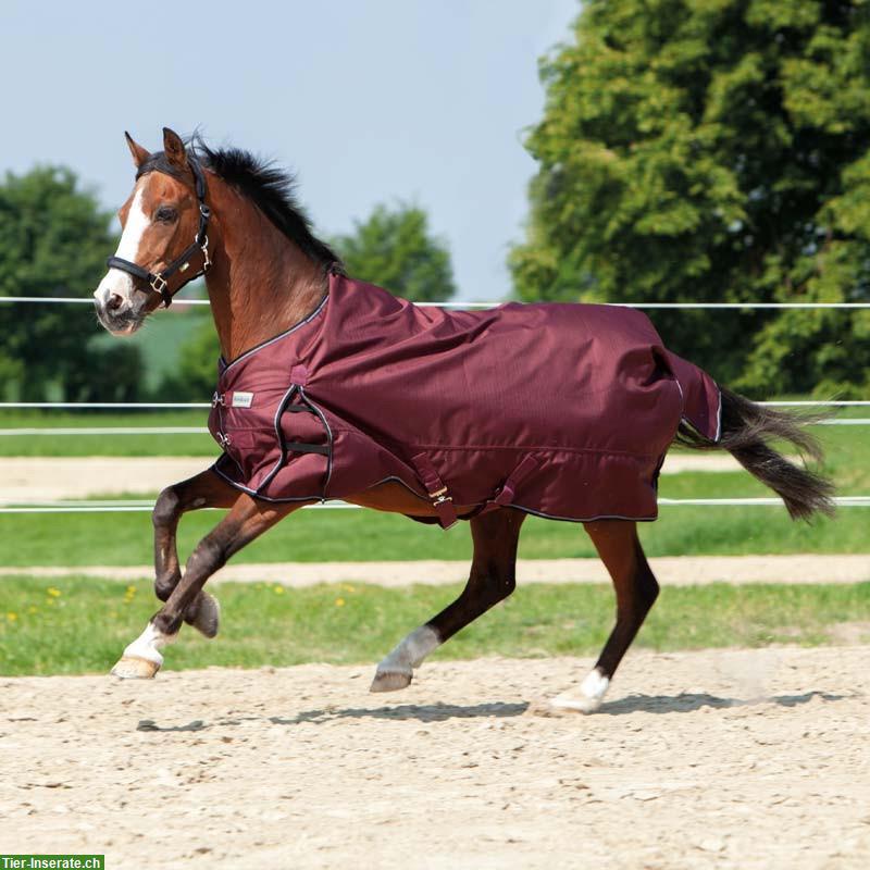 Neue Winter-Weidedecke Alaska, 300g, 145cm, beardeaux