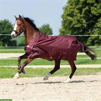 Neue Winter-Weidedecke Alaska, 300g, 145cm, beardeaux