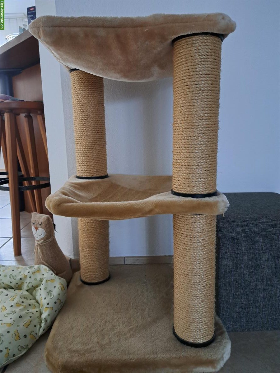 Swisspet Kratzbaum für Katzen zu verkaufen