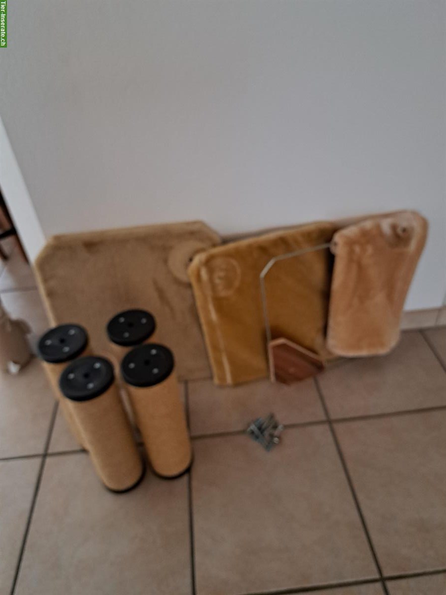 Bild 2: Swisspet Kratzbaum für Katzen zu verkaufen